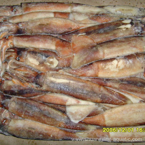 Seafood Frozen Illex Loligo Squid 100-200g 10Glazing